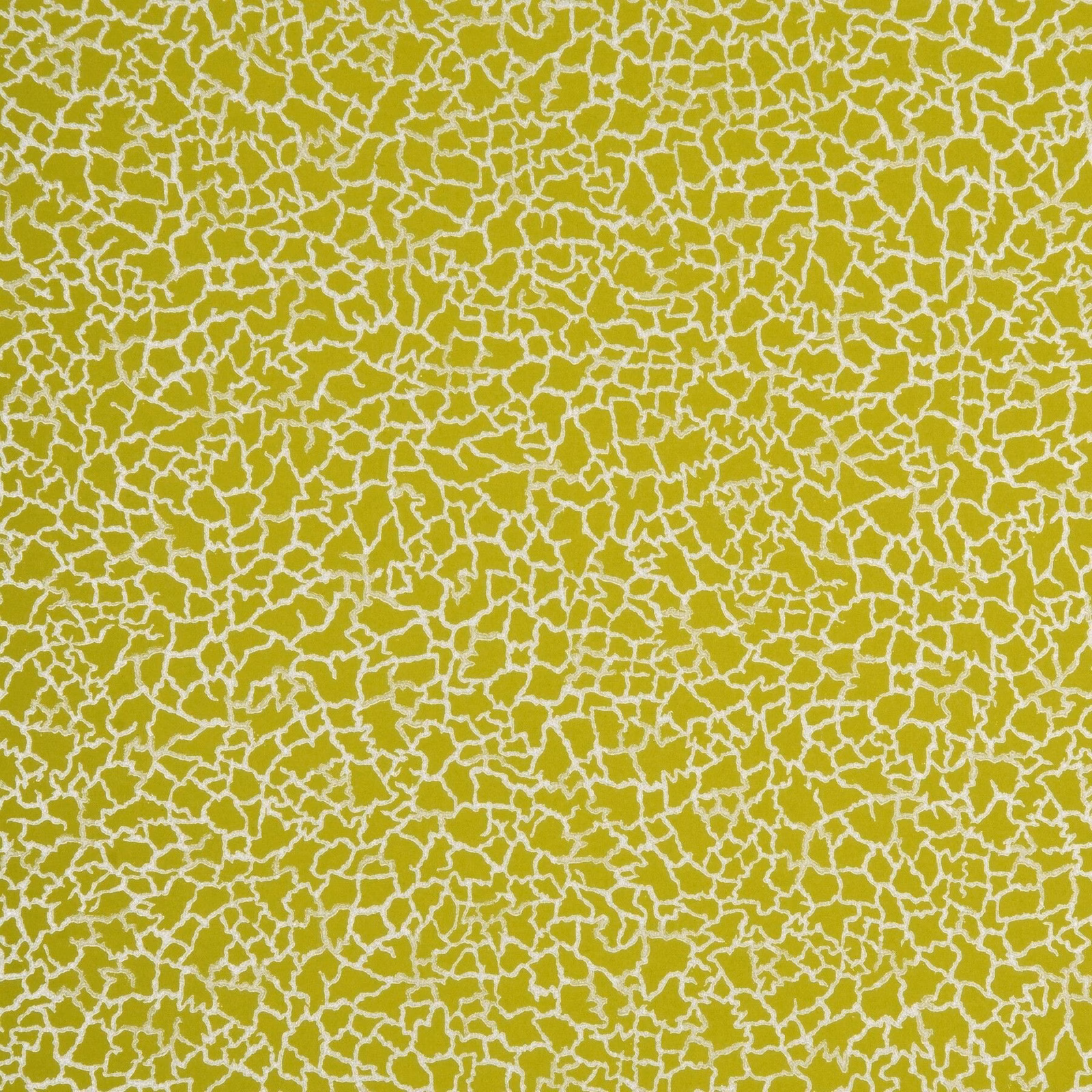 Bright lime-green wallpaper with a dense fine silver crackle network