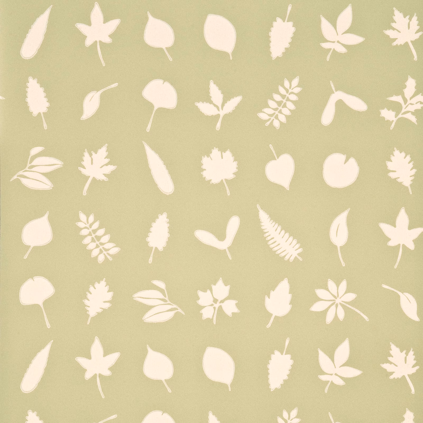Muted sage wallpaper with scattered cream leaves, pods and fern-like sprigs