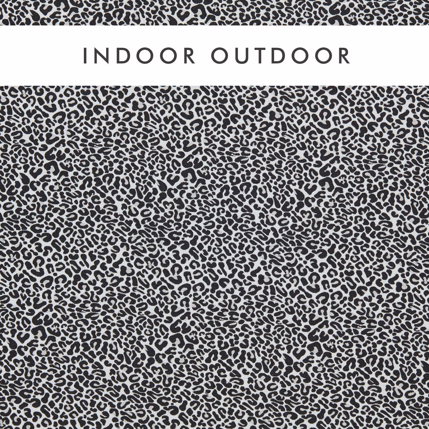 Dense charcoal broken spots over a pale grey ground in Arcata Ebony