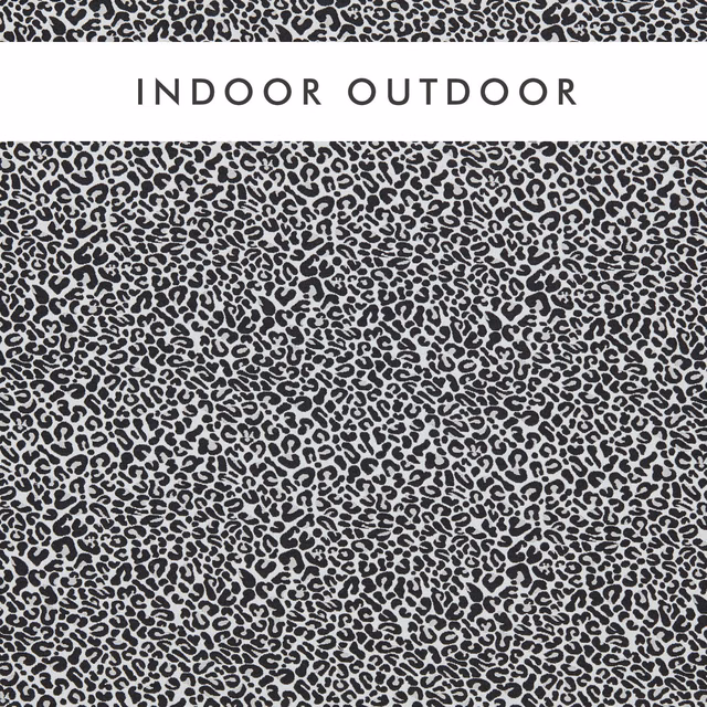 Dense charcoal broken spots over a pale grey ground in Arcata Ebony