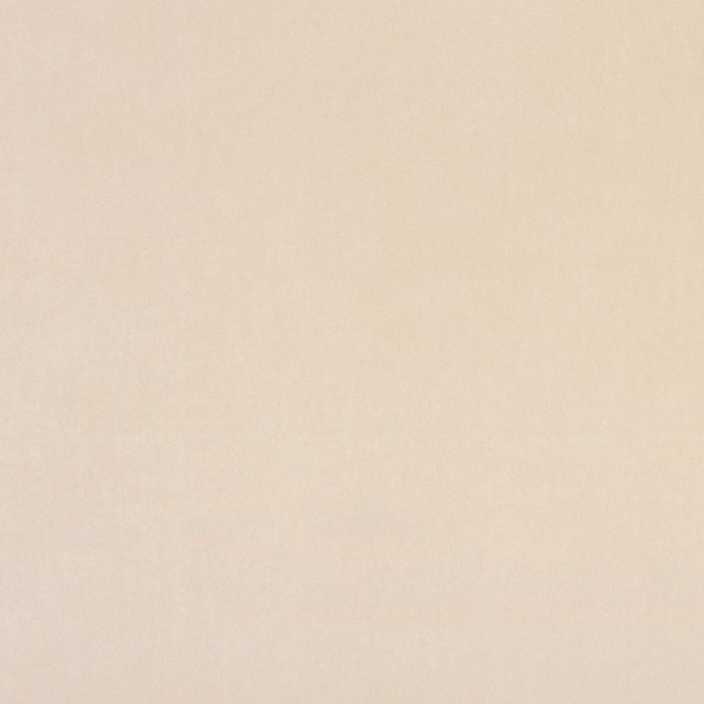 Warm buff beige plain weave with a softly mottled, low-contrast surface