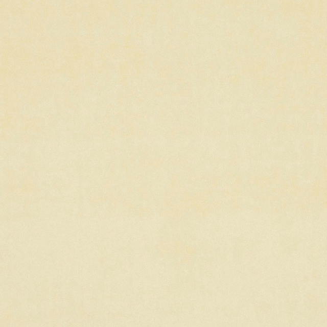 Pale warm cream textile with a subtly mottled, softly textured woven surface