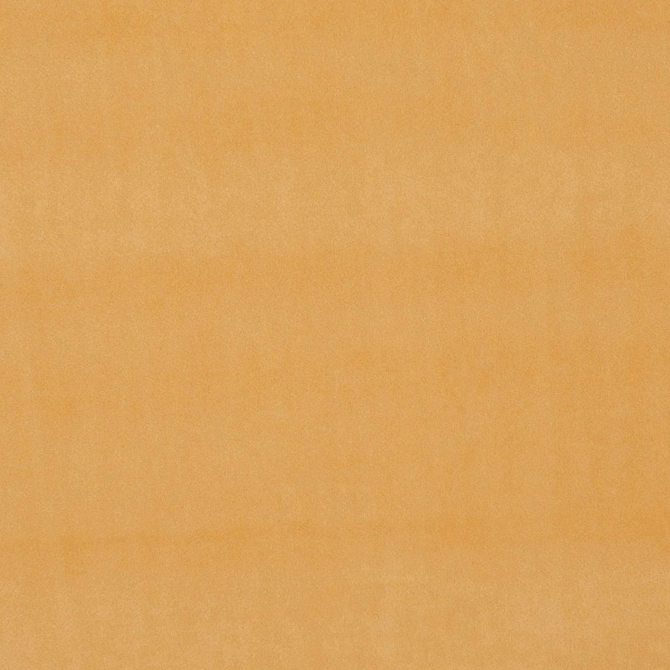 Warm ochre-gold plain fabric with subtle cloudy tonal variation across its softly textured surface