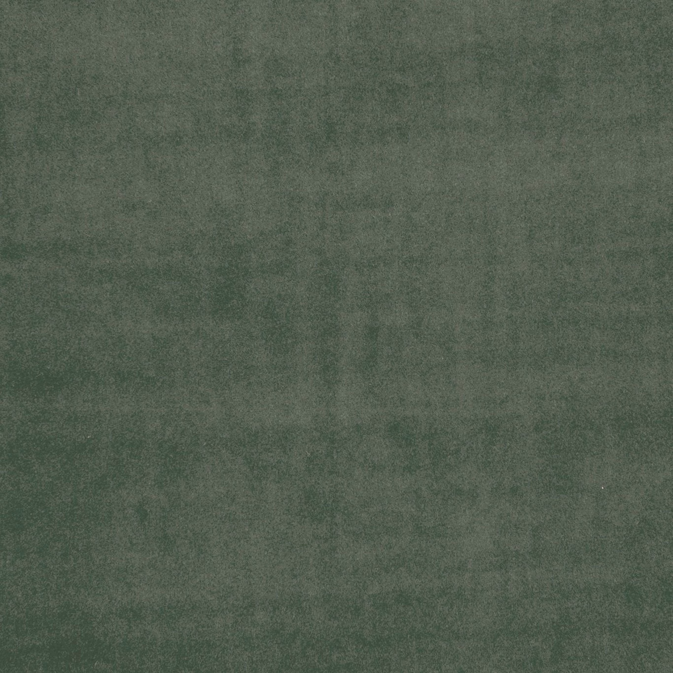 Mottled muted herb-green fabric with a softly brushed, tonal surface