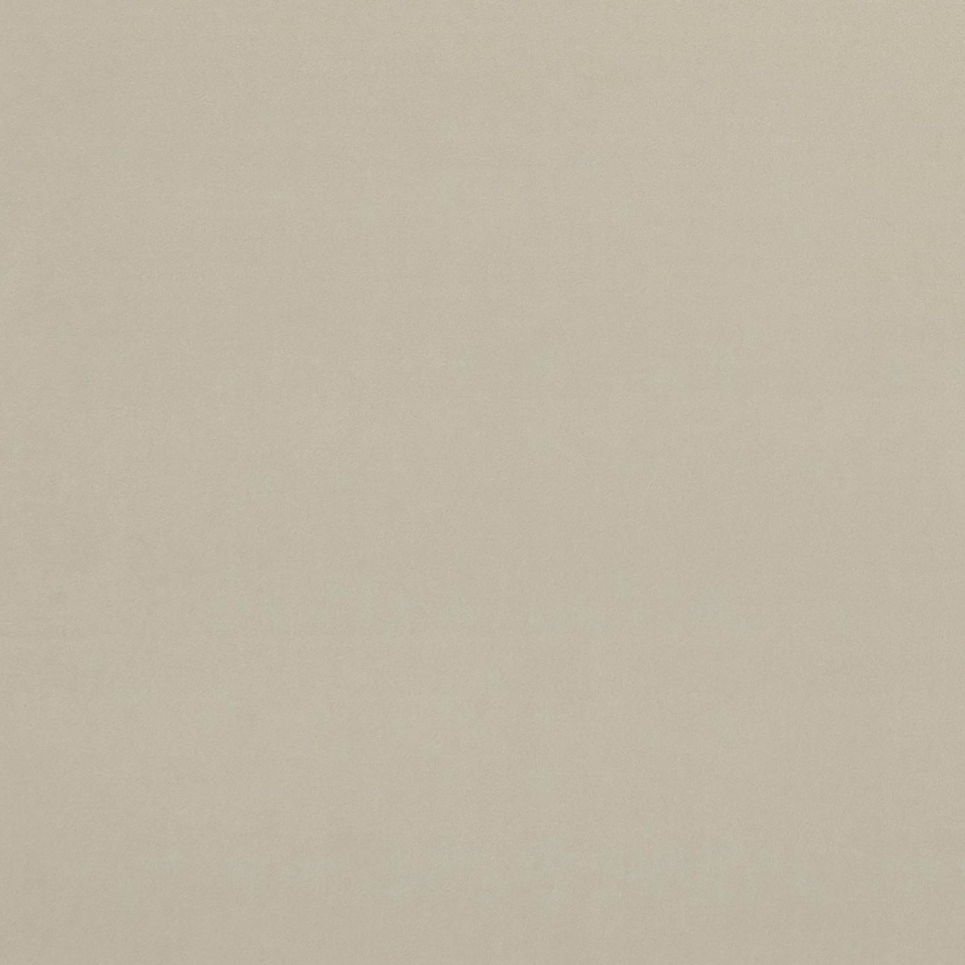 Pale ivory fabric with a fine, softly mottled woven surface