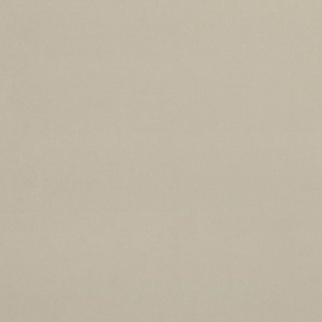 Pale ivory fabric with a fine, softly mottled woven surface
