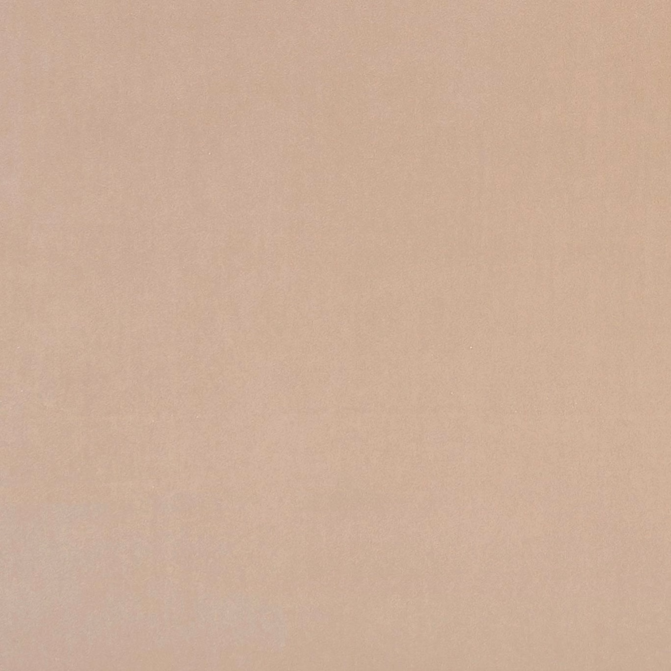 Warm nude-beige fabric swatch with a subtle, even woven texture