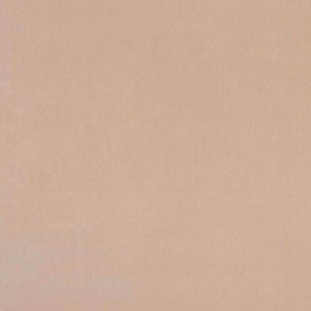 Warm nude-beige fabric swatch with a subtle, even woven texture