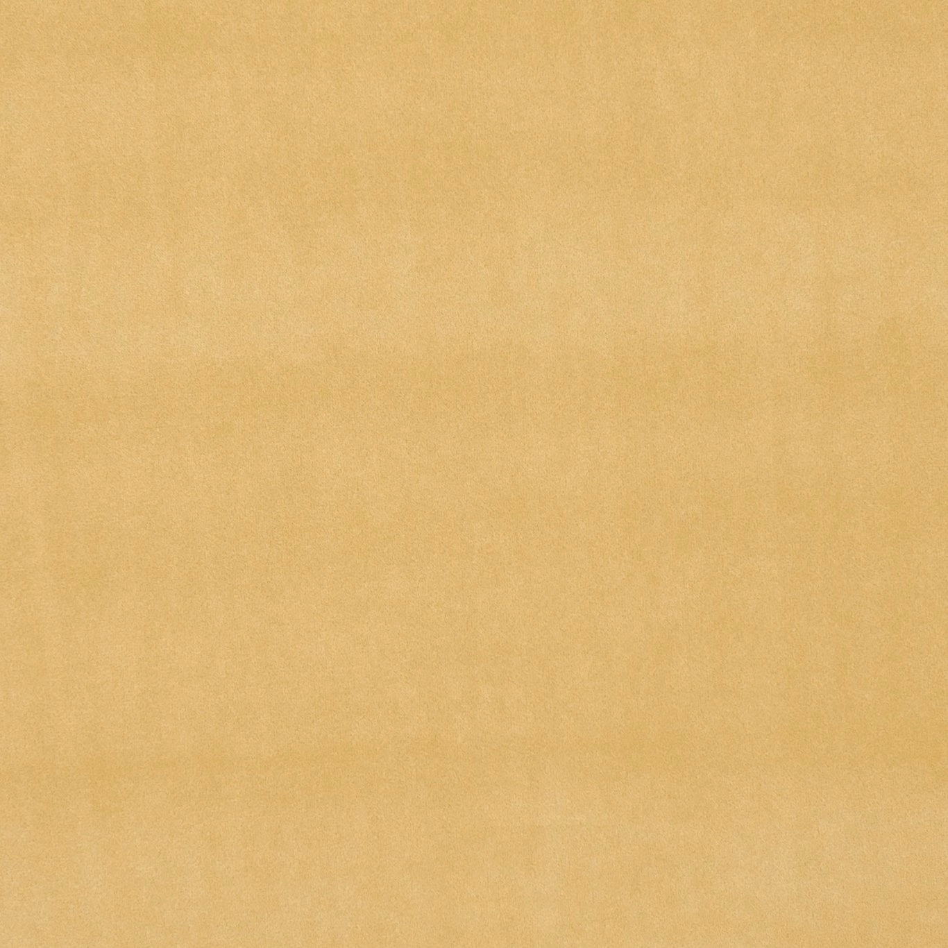 Warm ochre plain fabric with softly clouded, subtly textured surface