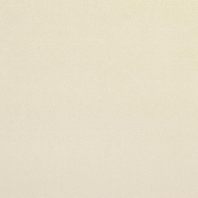 Pale vanilla cream textile with a subtle, almost invisible fine woven texture