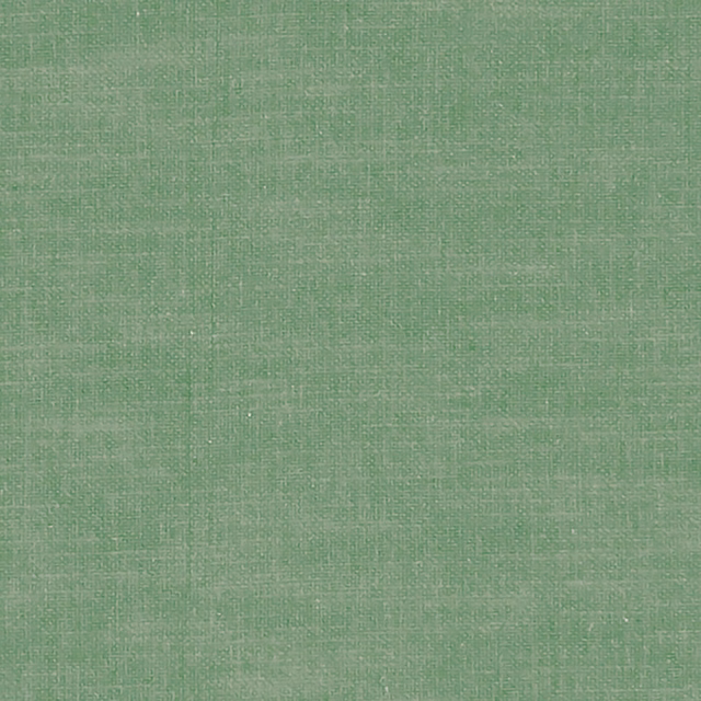 Soft mint-green crosshatch weave with subtle pale threads across the fabric swatch