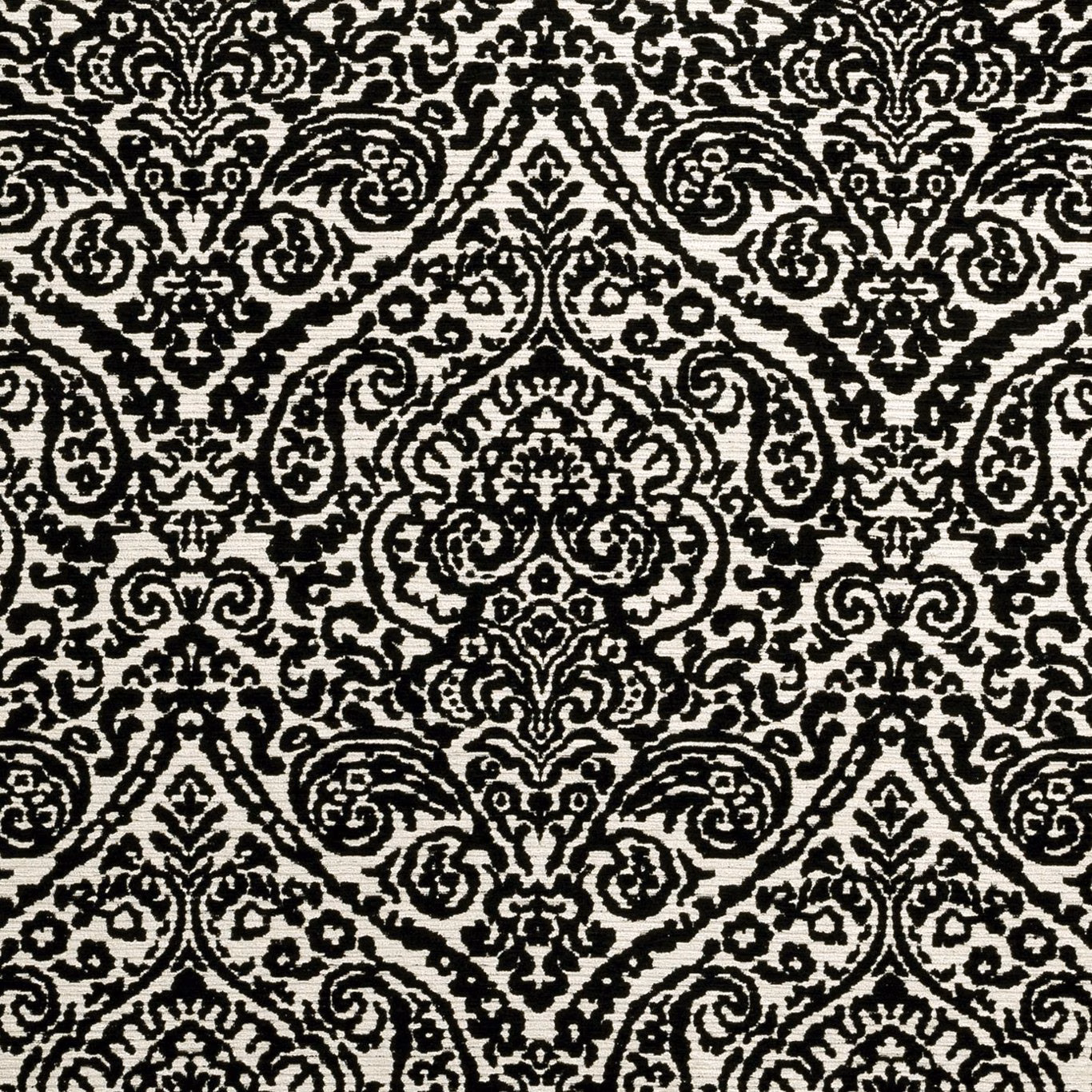 Dense black damask scrolls woven across a warm white textured ground