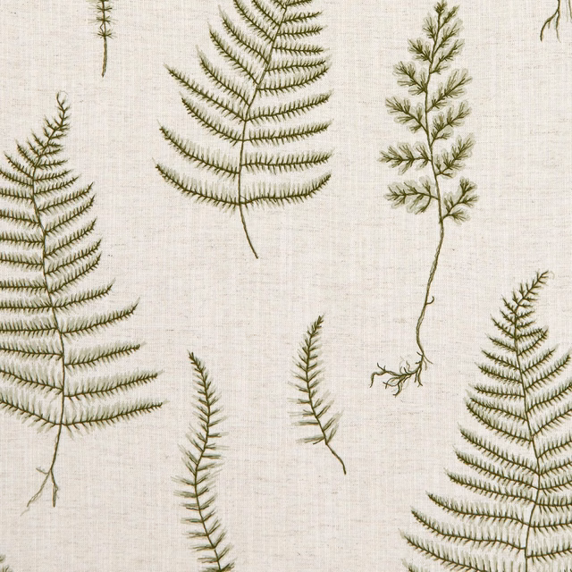 Olive fern fronds scattered across a softly textured natural ground