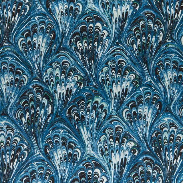 Dense teal and aqua fan plumes with black and white marbled striations