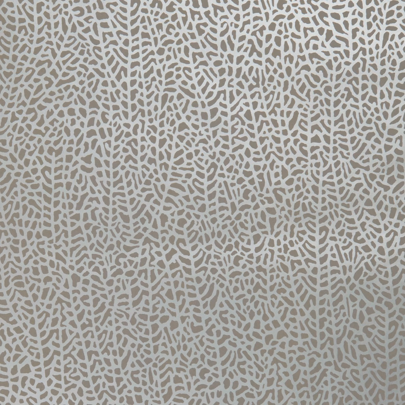 Blush-grey wallpaper with a dense pale branching coral motif