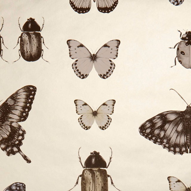 Ivory wallpaper showing charcoal butterflies and beetles with muted gold-toned detailing