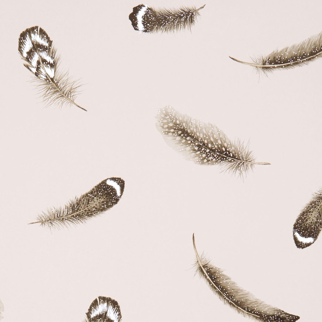 Pale blush wallpaper with scattered taupe feathers and silvery highlighted barbs