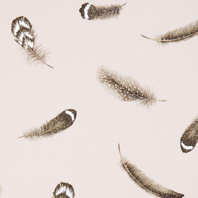 Pale blush wallpaper with scattered taupe feathers and silvery highlighted barbs