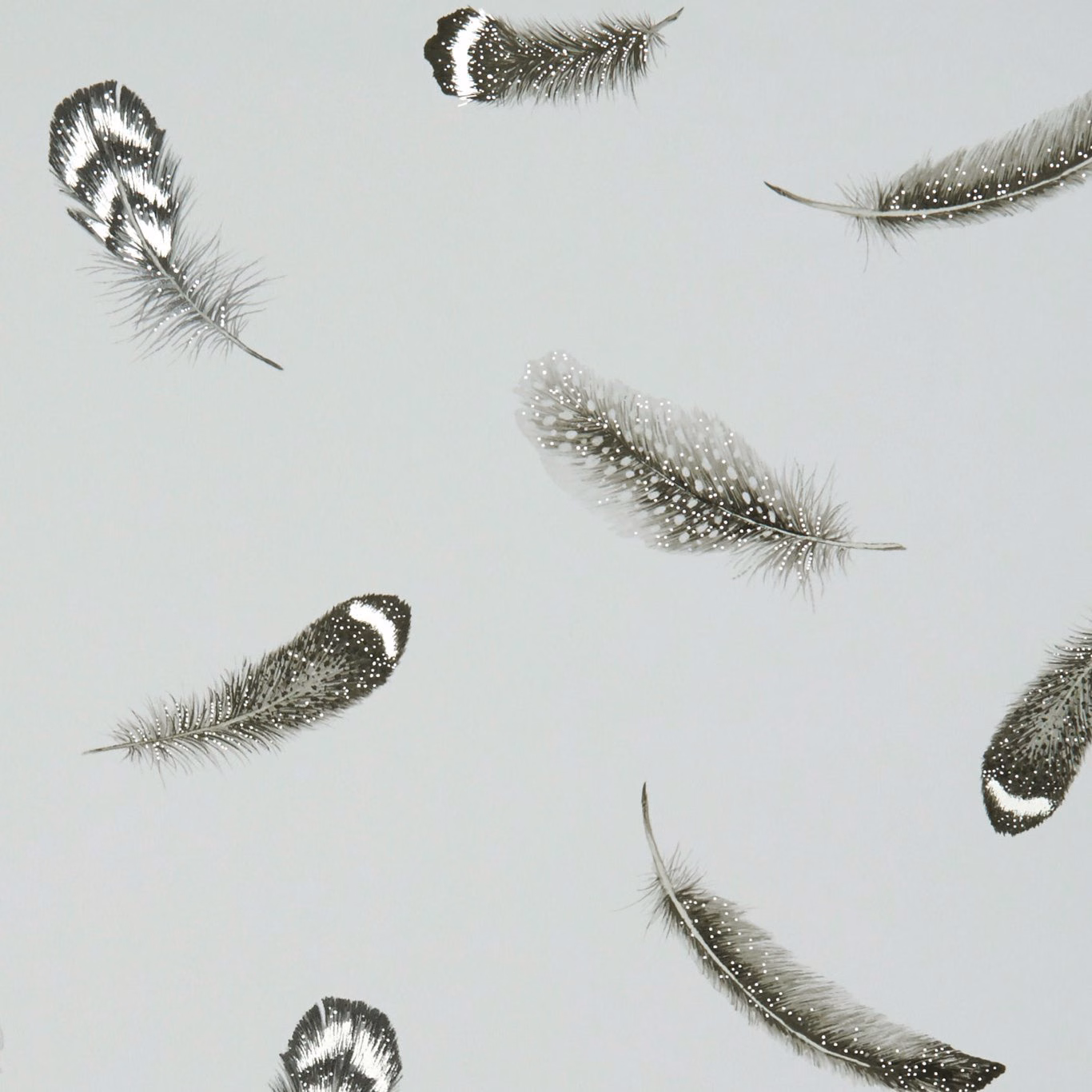 Pale grey wallpaper with charcoal, silver and white speckled feather motifs