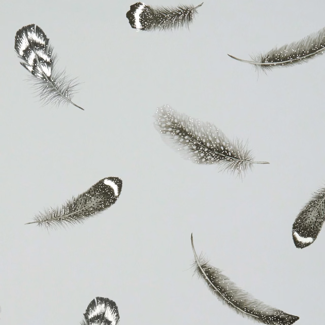 Pale grey wallpaper with charcoal, silver and white speckled feather motifs