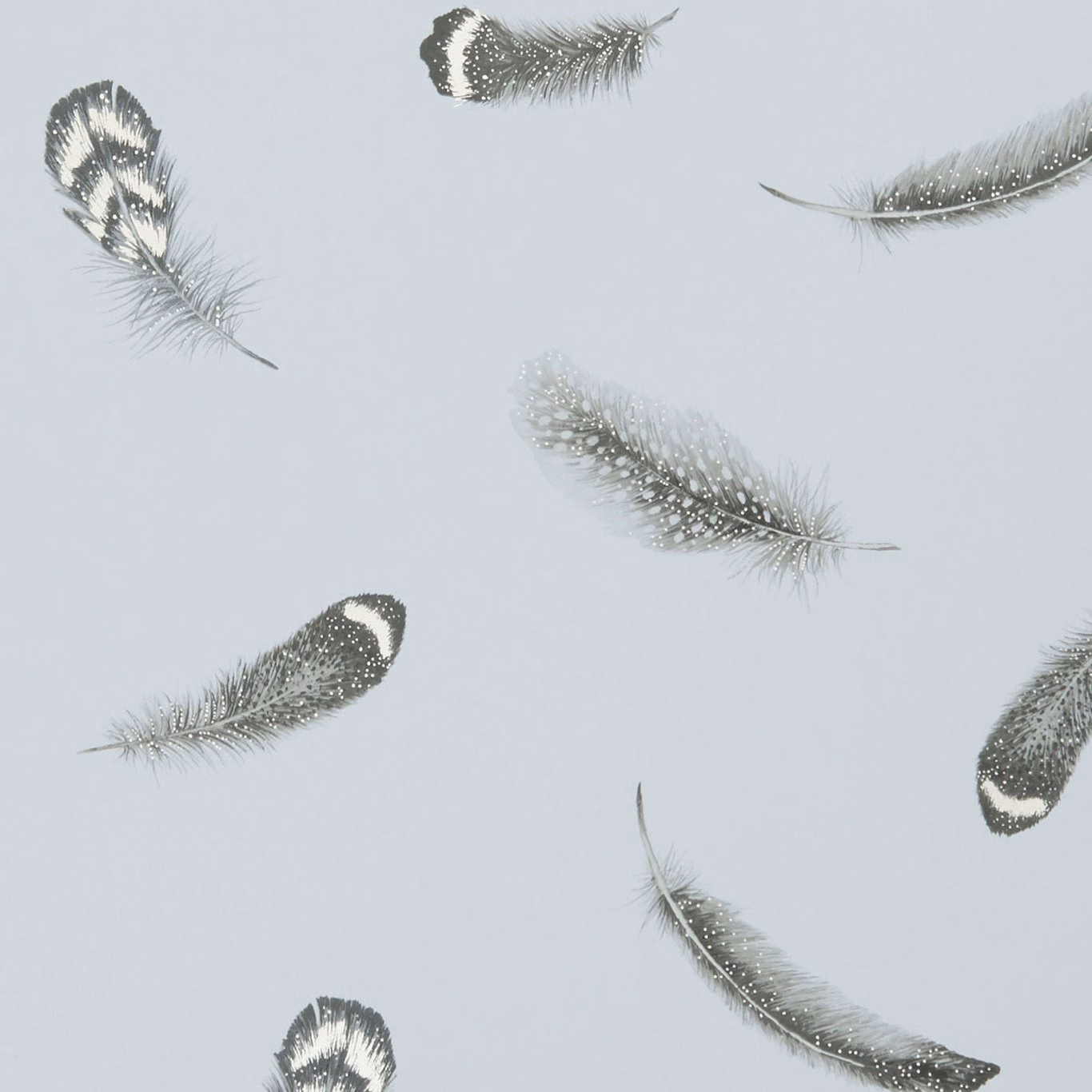 Pale blue-grey wallpaper with scattered charcoal and ivory feather motifs