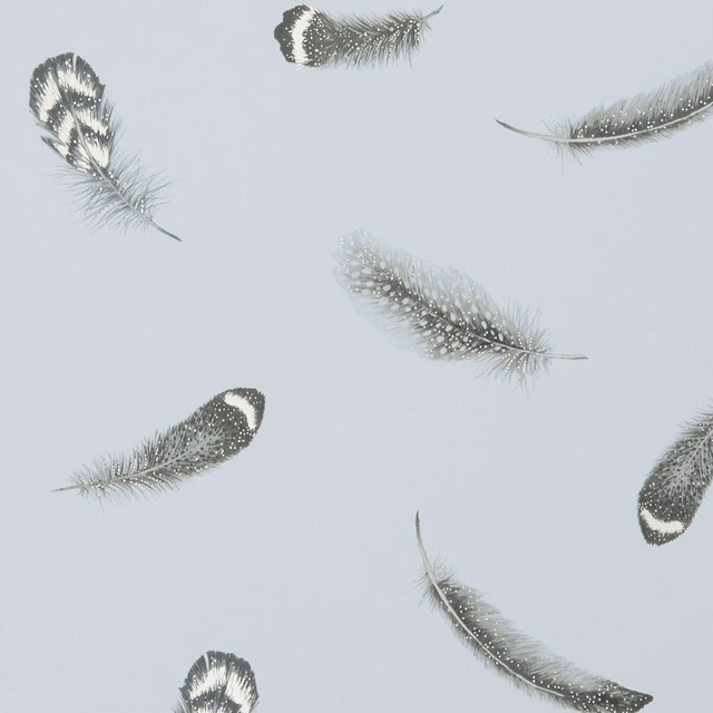 Pale blue-grey wallpaper with scattered charcoal and ivory feather motifs