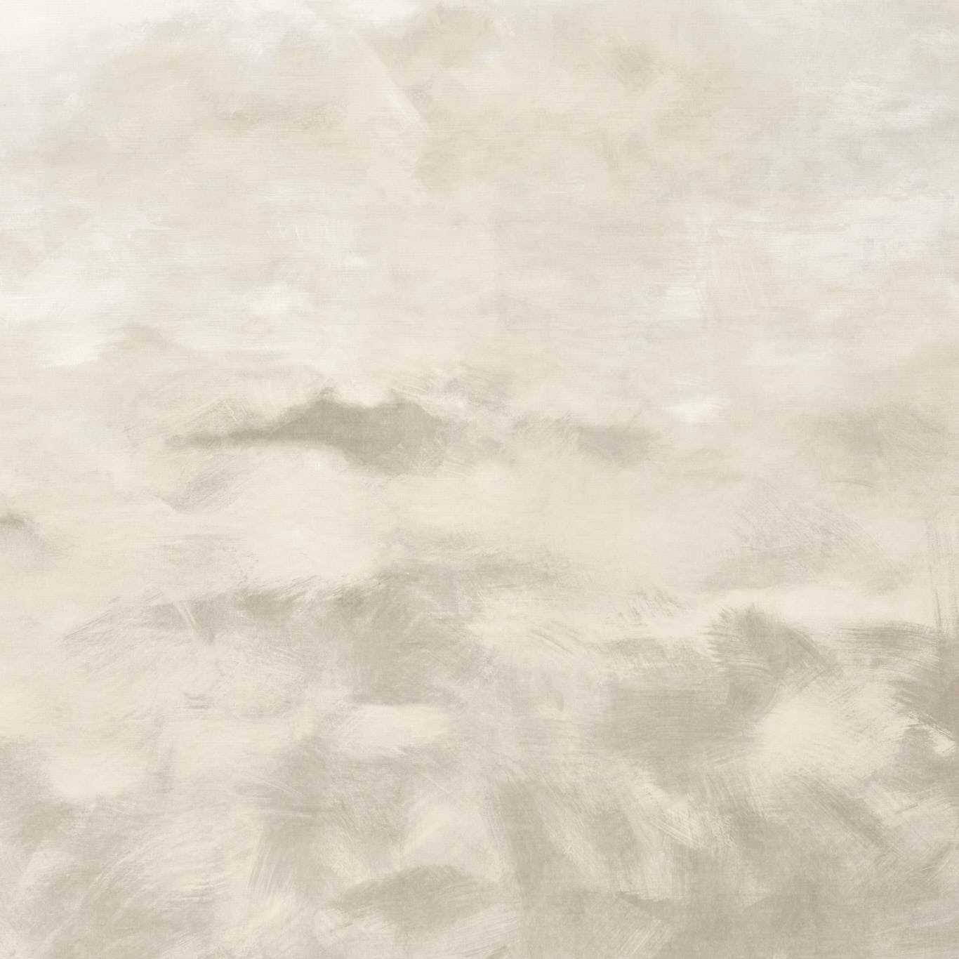 Pale ivory-grey fabric with soft cloudy brushstrokes and a feathered abstract texture