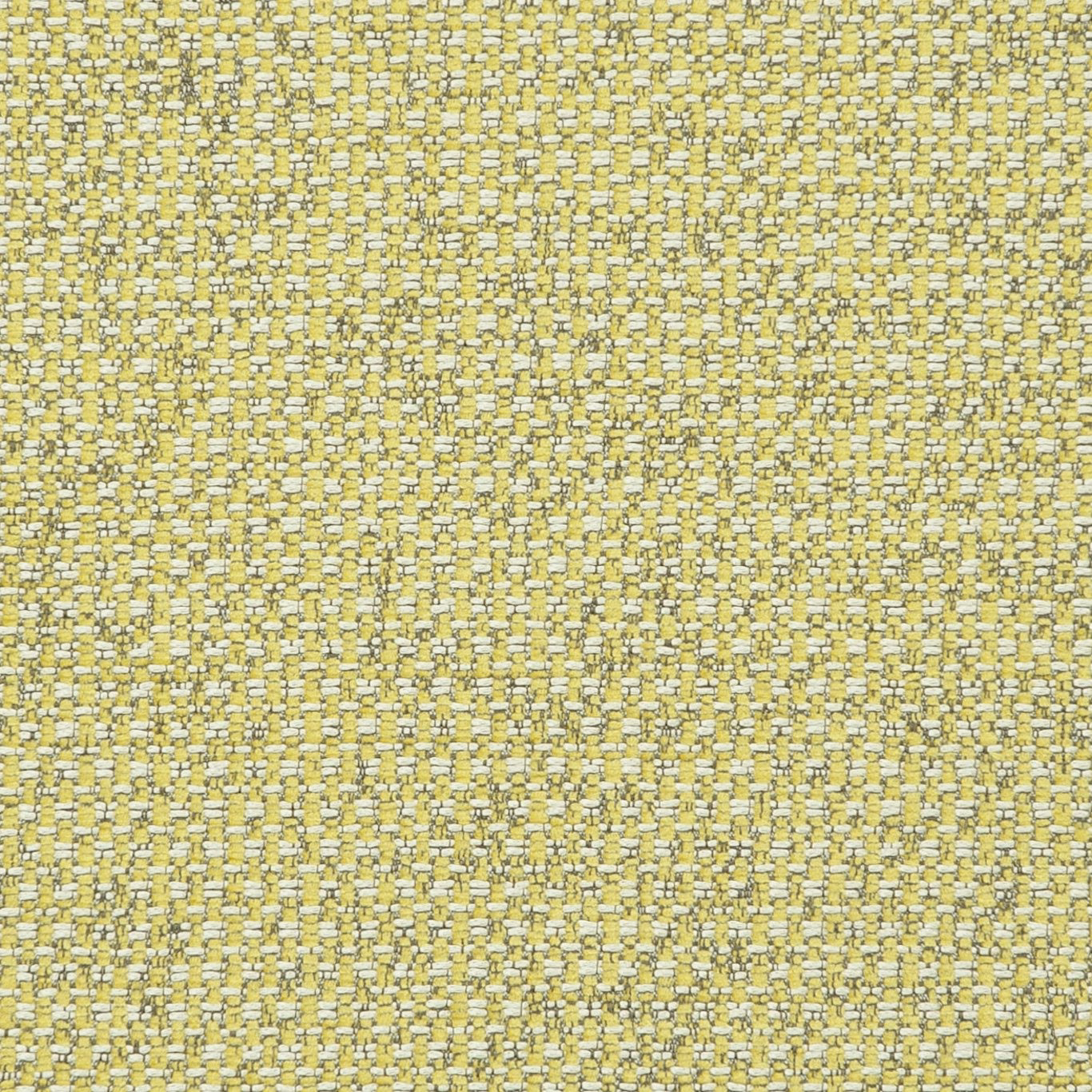 Acacia yellow-green upholstery weave with cream slubs and fine charcoal flecks