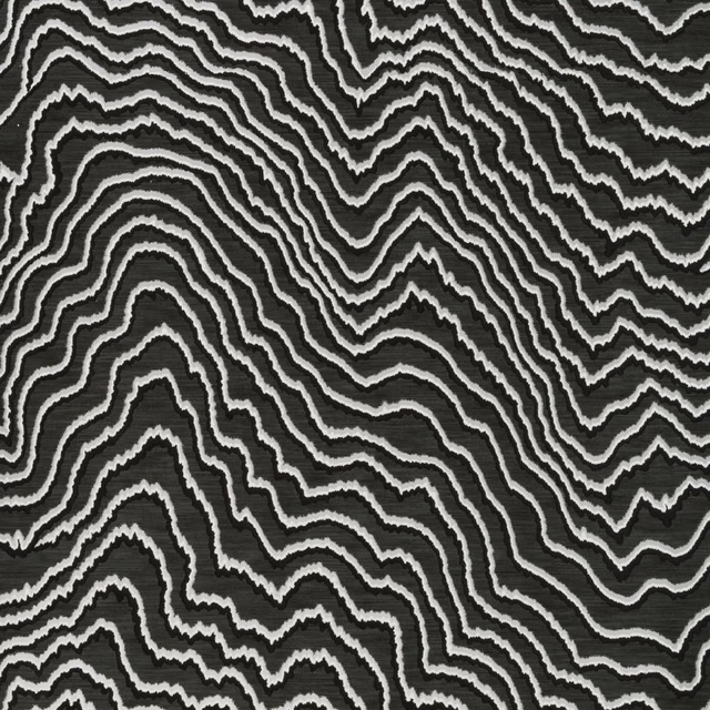 Charcoal wallpaper with irregular white contour lines and fine textured grain