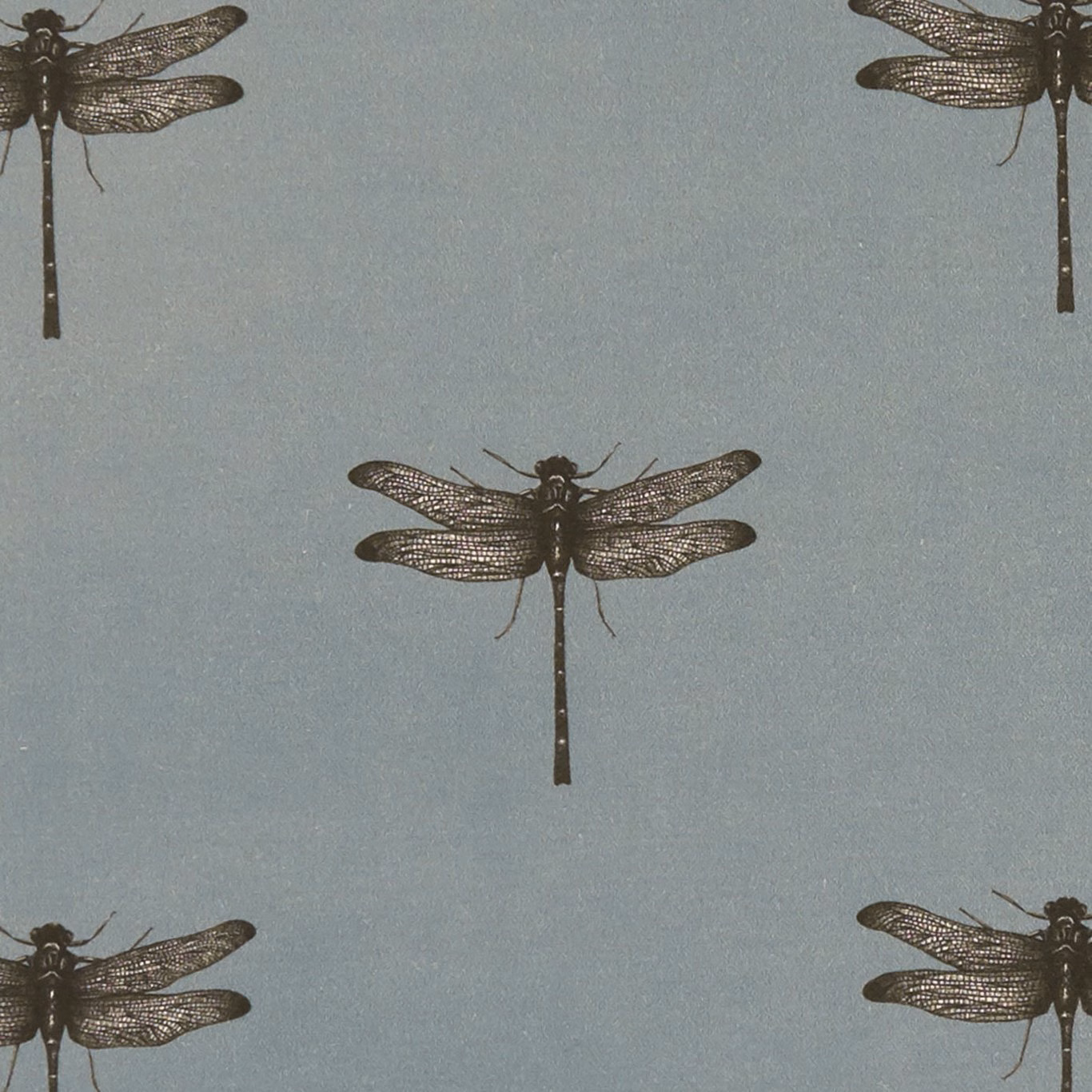 Cool blue-grey fabric with dark detailed dragonflies in a repeating layout