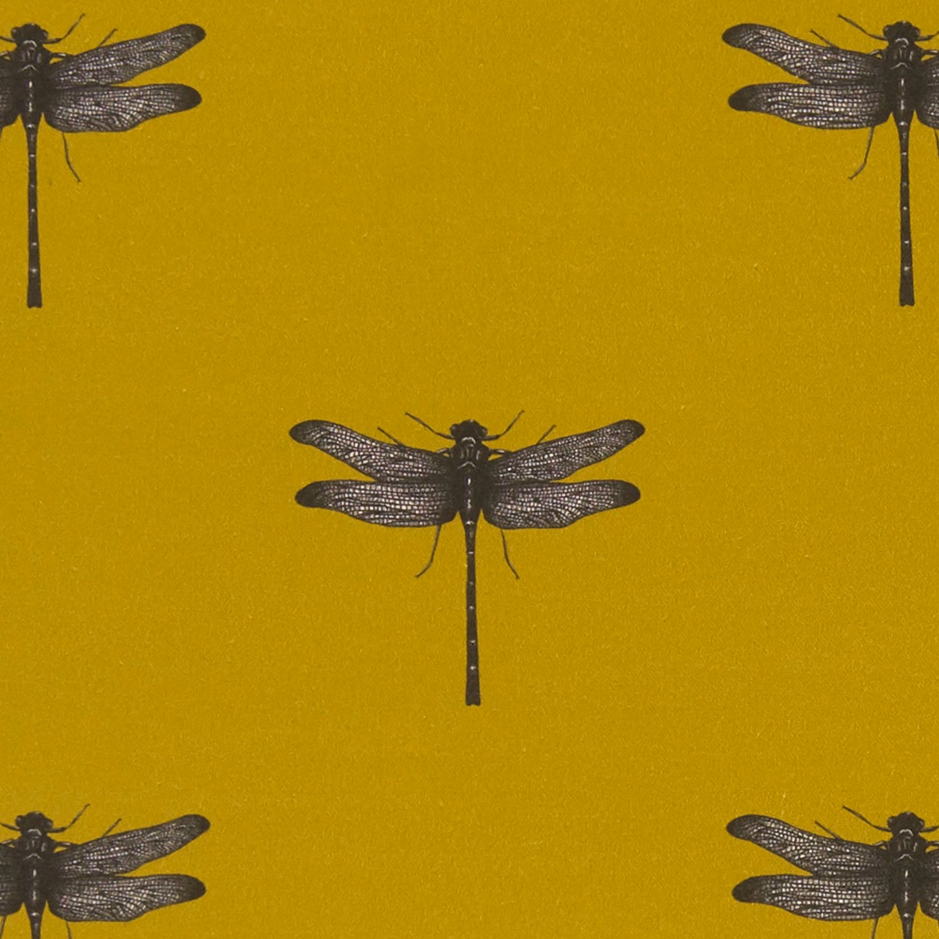 Mustard ochre Eden fabric with charcoal dragonflies and finely detailed wings