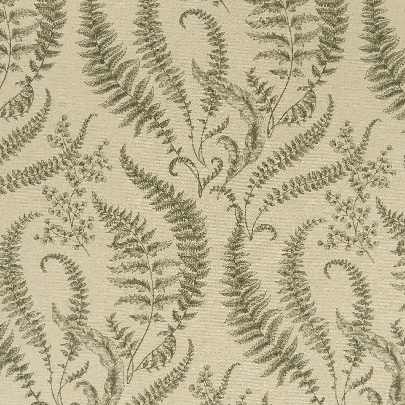 Muted sage-olive fern fronds and curling leaves on a pale textured ground
