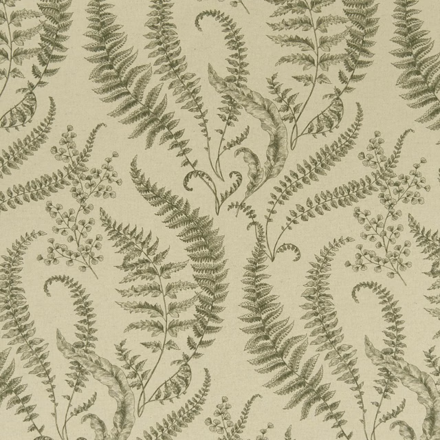 Muted sage-olive fern fronds and curling leaves on a pale textured ground