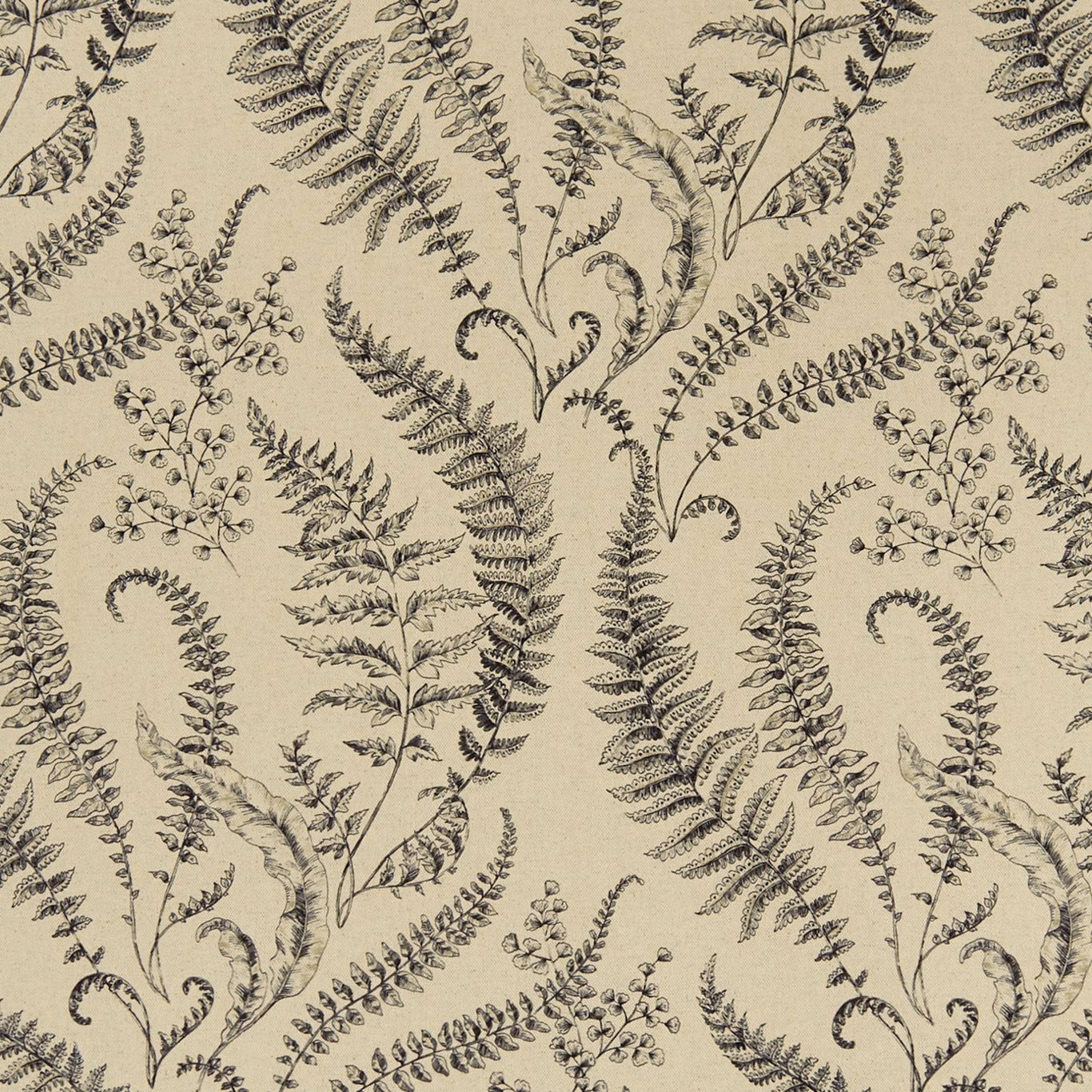 Warm linen-beige fabric with charcoal fern fronds and fine botanical stems