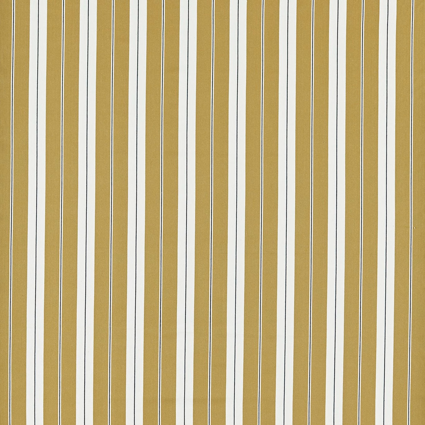Ochre and ivory vertical stripes edged with fine charcoal lines in a woven texture