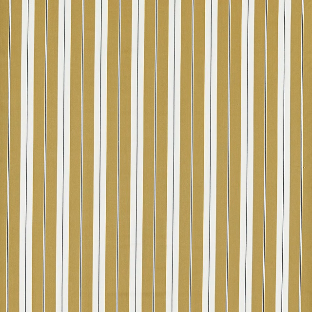 Ochre and ivory vertical stripes edged with fine charcoal lines in a woven texture