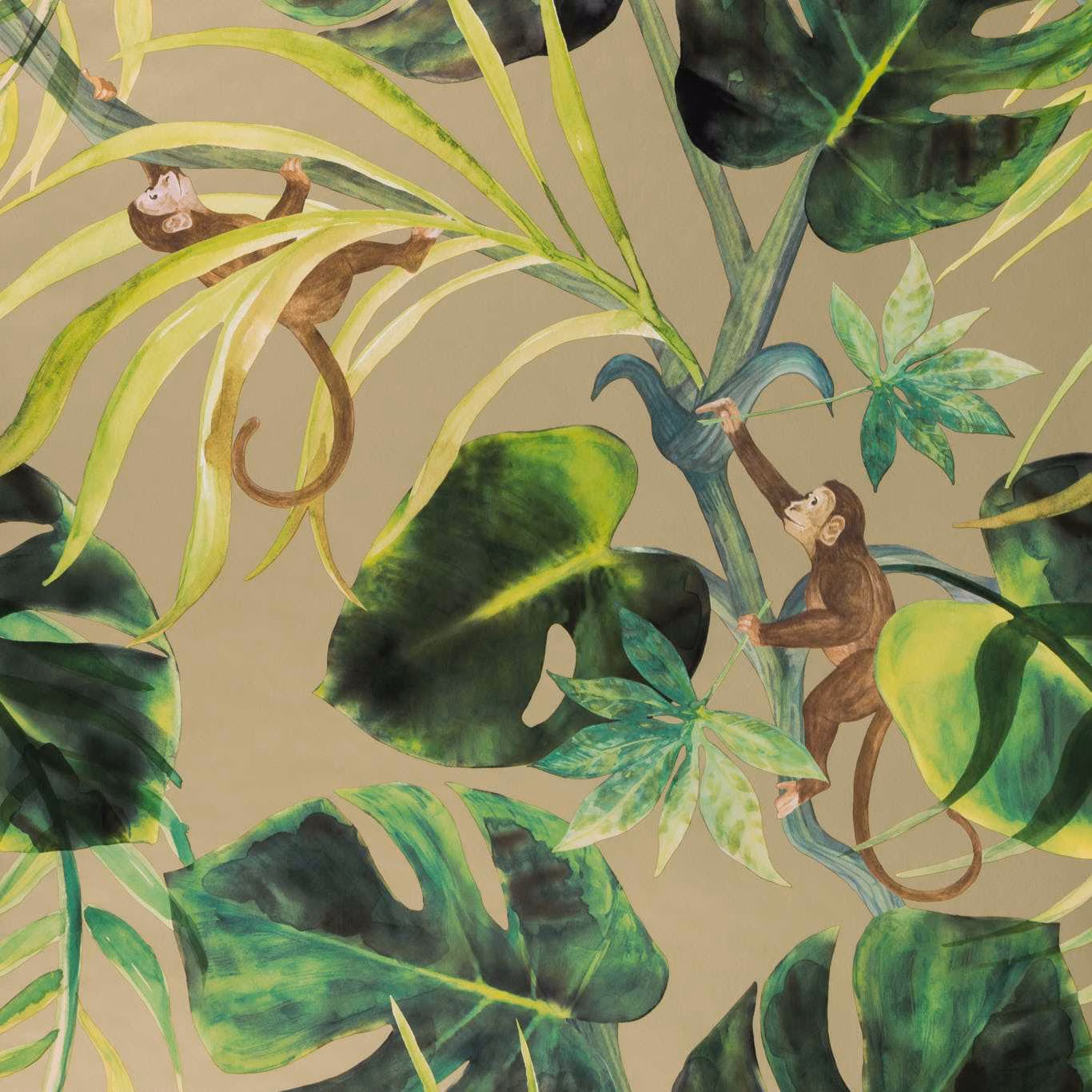 Olive-taupe wallpaper with vivid green leaves, curling vines and brown monkeys