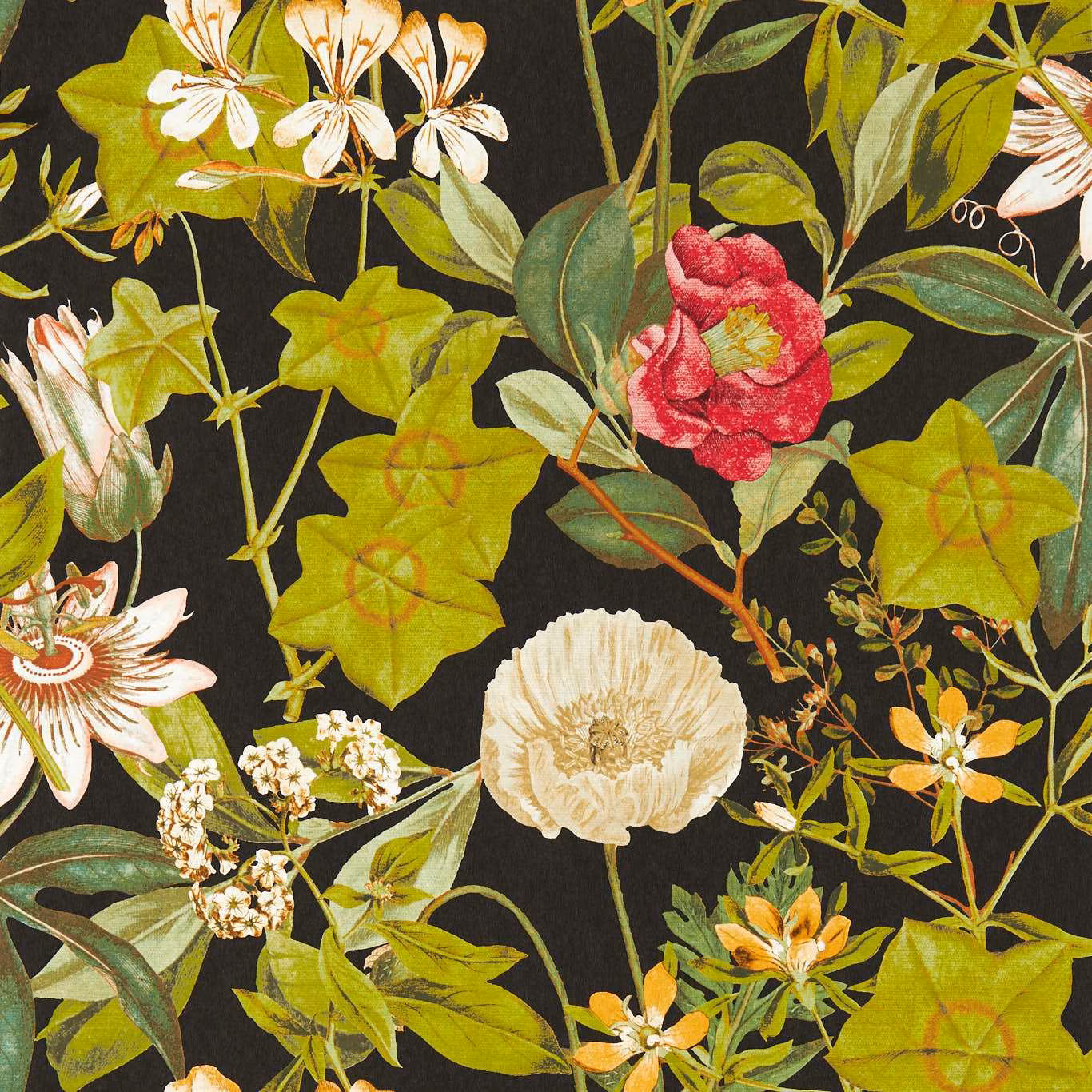 Black-ground botanical wallpaper with lime leaves, cream flowers and a vivid red bloom