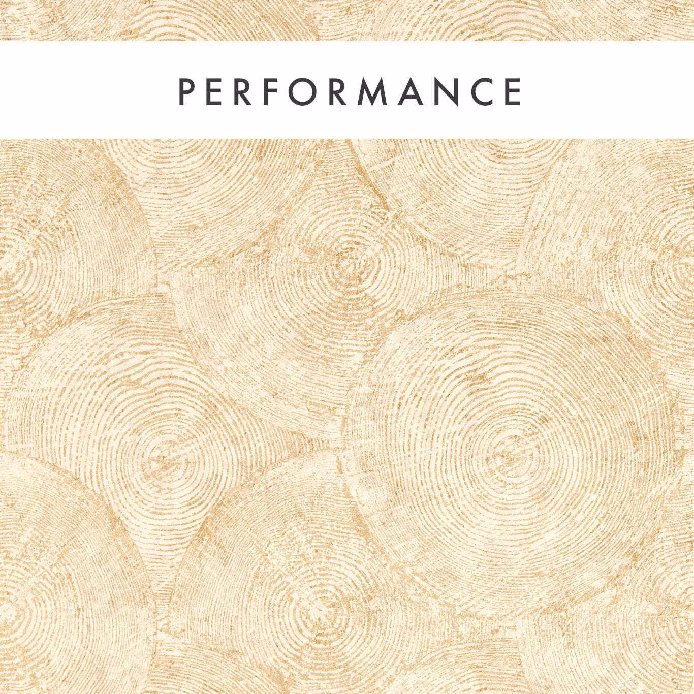 Warm Sahara wallpaper with pale timber-ring motifs on a softly textured beige ground