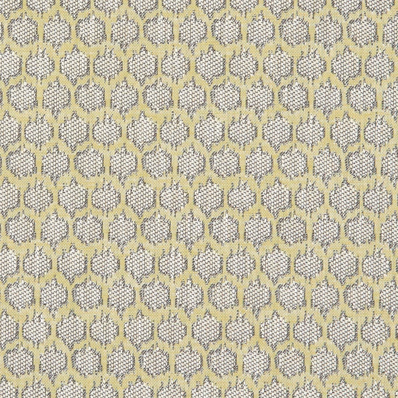 Muted citron lattice with ivory ovals and charcoal flecked woven texture