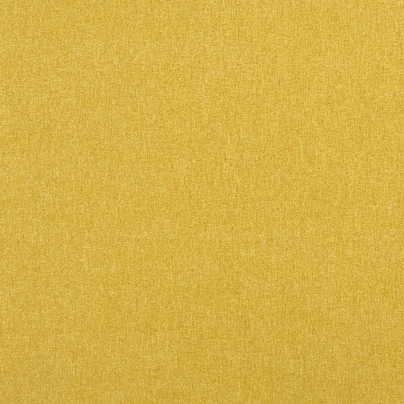Warm golden-yellow plain weave with fine, softly varied woven texture