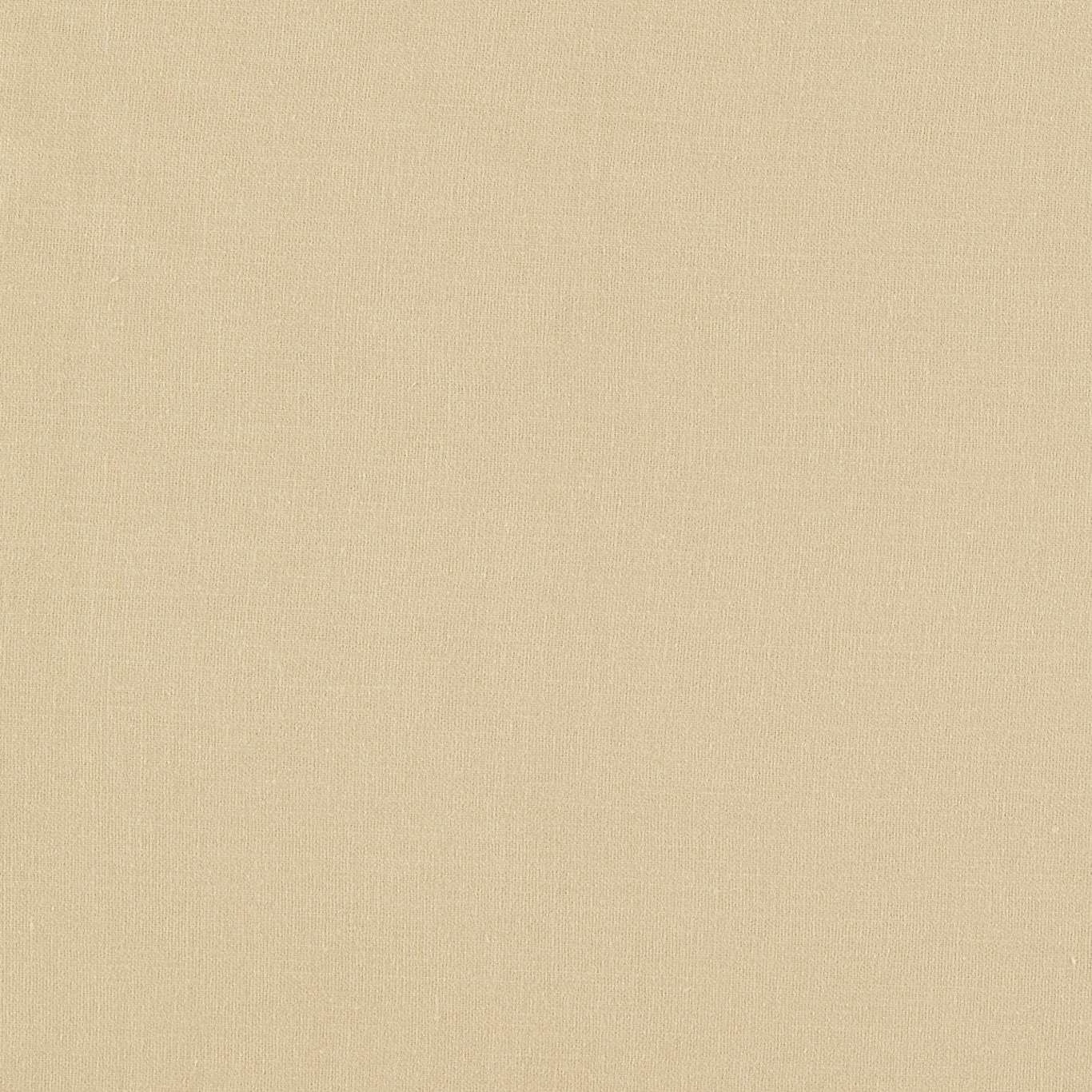 Warm pale buff plain weave with subtle tonal texture and fine vertical slubs
