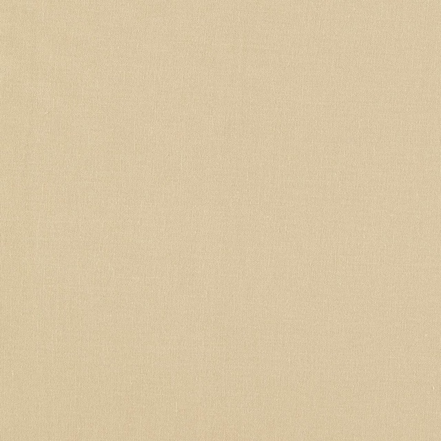 Warm pale buff plain weave with subtle tonal texture and fine vertical slubs