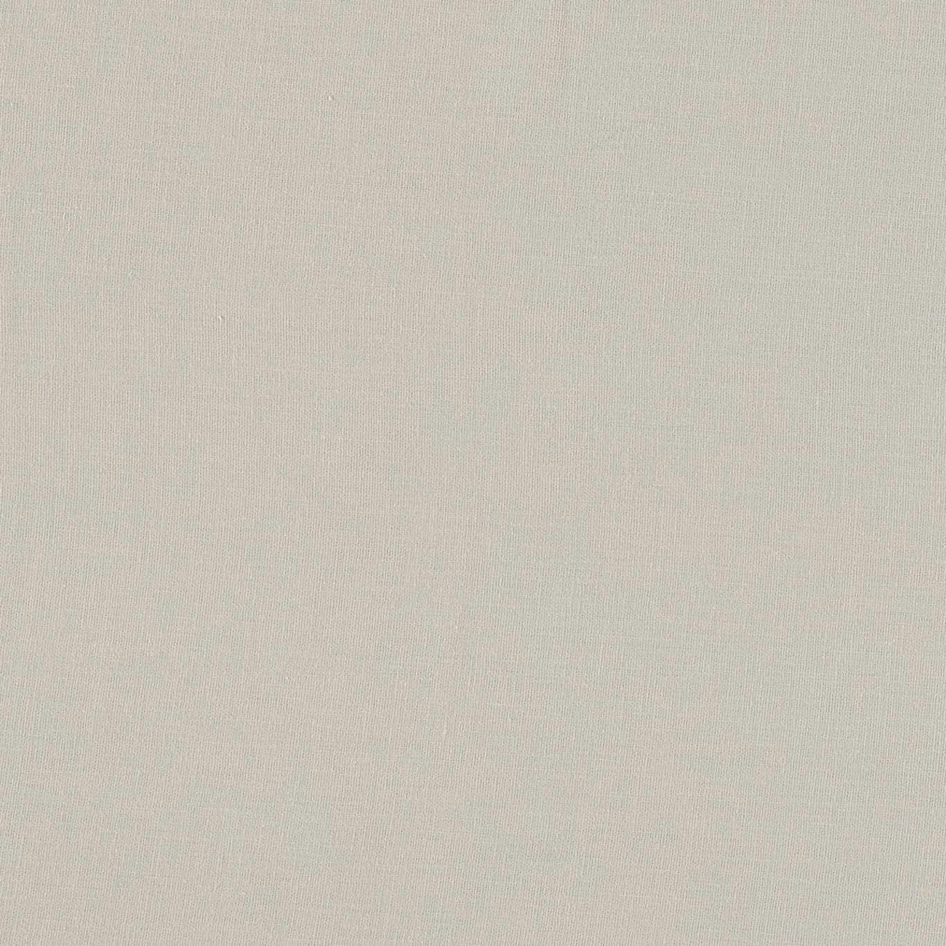 Pale silver-grey plain weave showing a fine, softly textured vertical grain