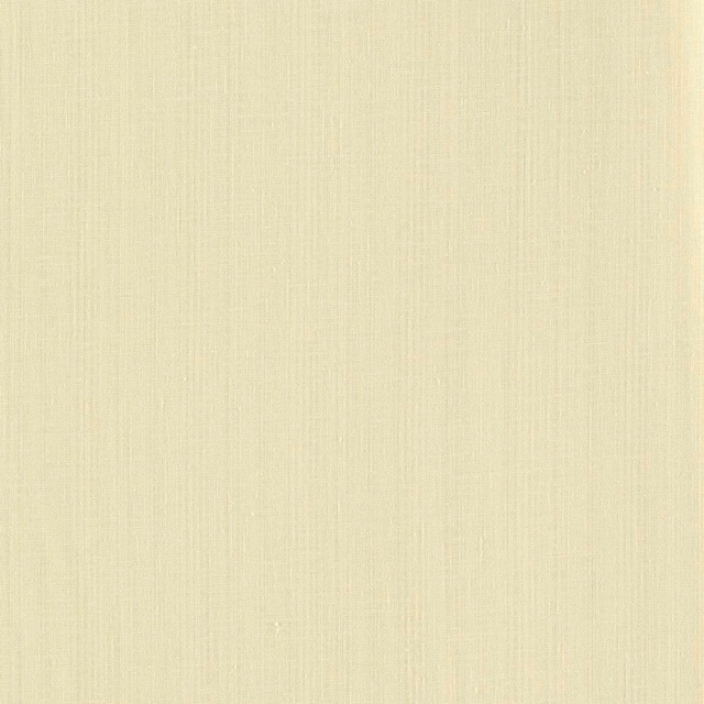 Warm oyster-cream sheer with fine vertical striations and a softly textured surface