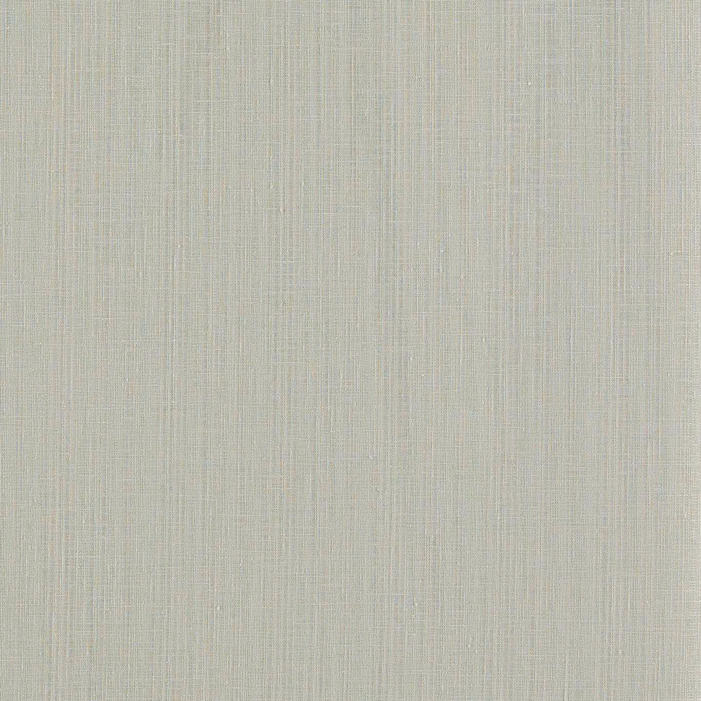 Pale smoke-grey sheer with fine vertical striations and delicate crosswoven texture