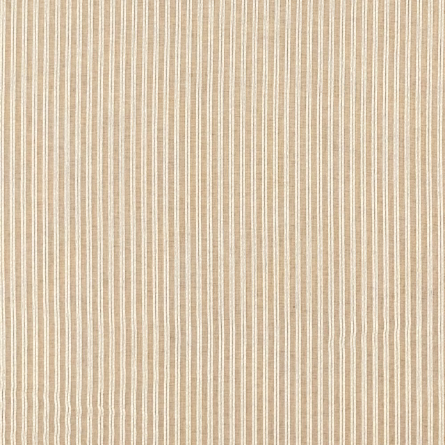 Warm champagne-beige sheer with fine irregular vertical ivory stripes