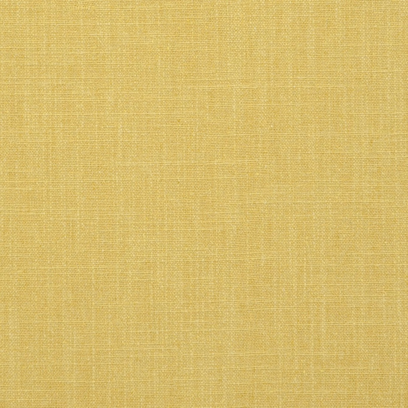 Warm acacia-yellow plain weave with fine crosshatched texture