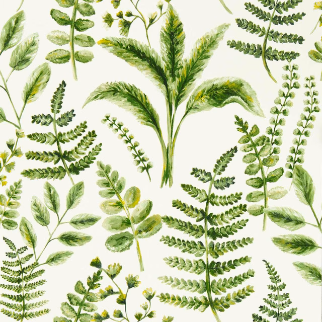 Cream wallpaper scattered with layered fern fronds and soft green botanical stems