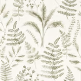 Warm ivory wallpaper with muted sage ferns, grasses and delicate botanical stems